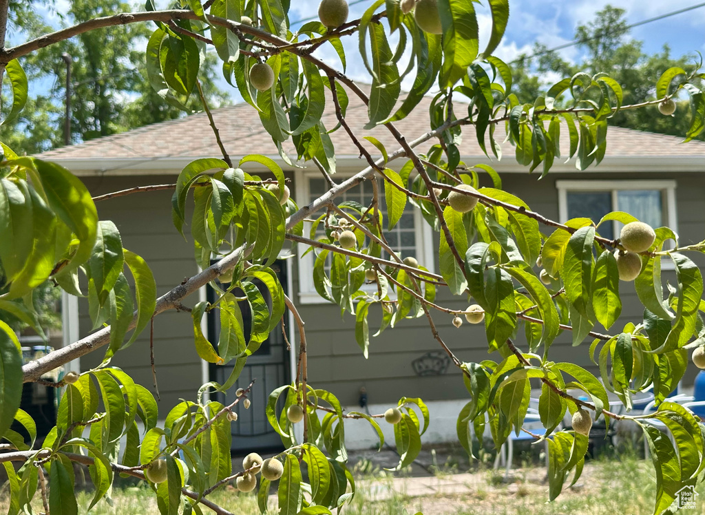 View of side of property with roof with shingles