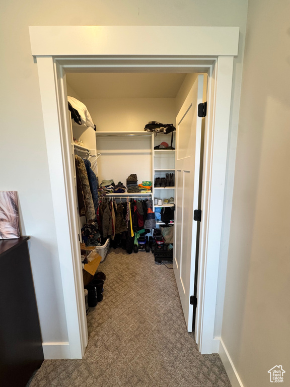 Spacious closet with carpet