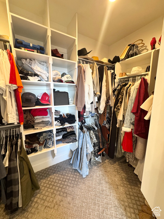 View of walk in closet