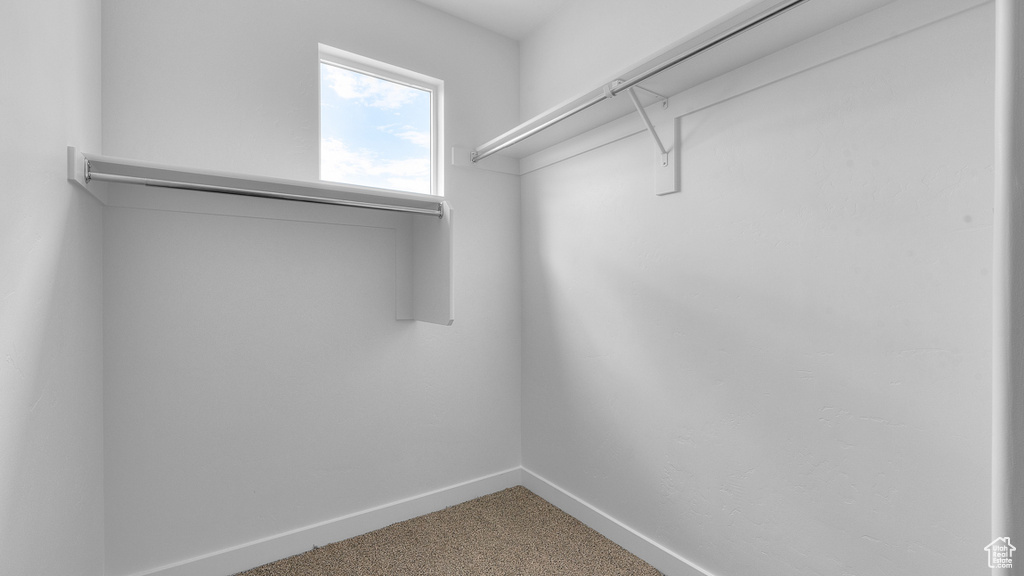 Spacious closet with carpet floors
