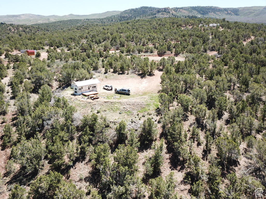 Aerial view of a forest and a mountain backdrop