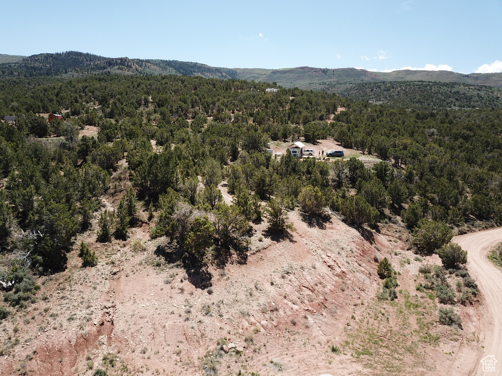 View of mountain backdrop with a heavily wooded area