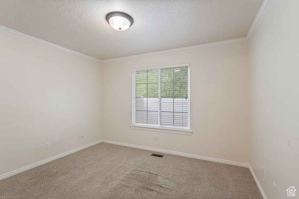 Carpeted spare room with crown molding, baseboards, and a textured ceiling