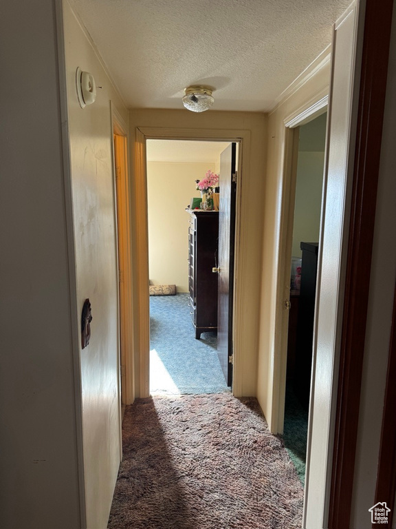 Hall with carpet floors and a textured ceiling