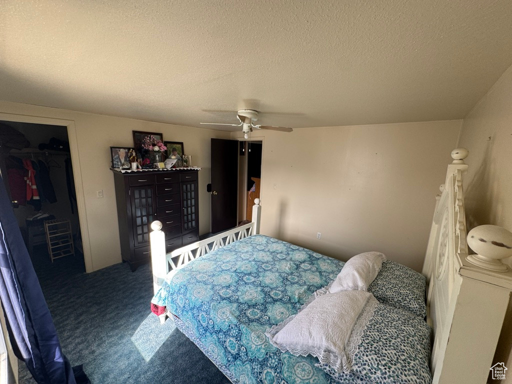 Bedroom with carpet floors, a textured ceiling, ceiling fan, a walk in closet, and a closet