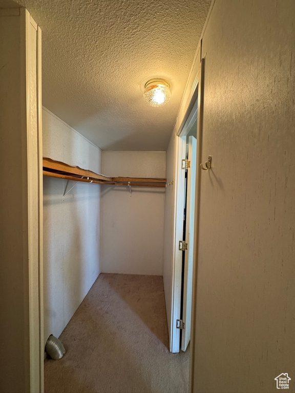 Walk in closet featuring carpet floors