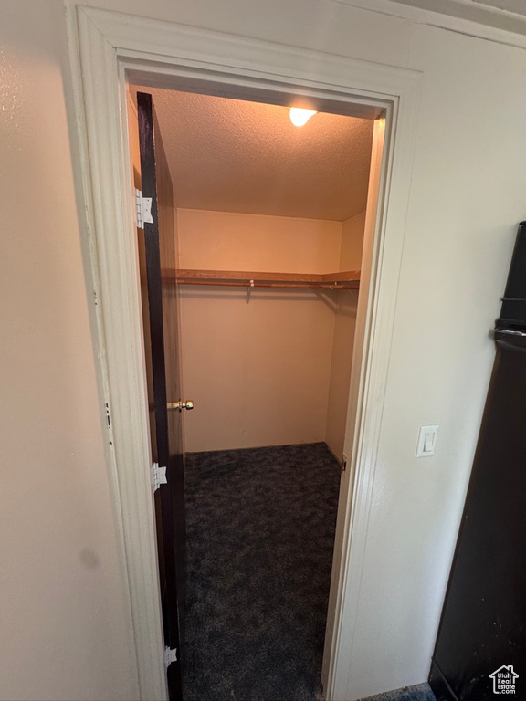 Walk in closet with carpet floors
