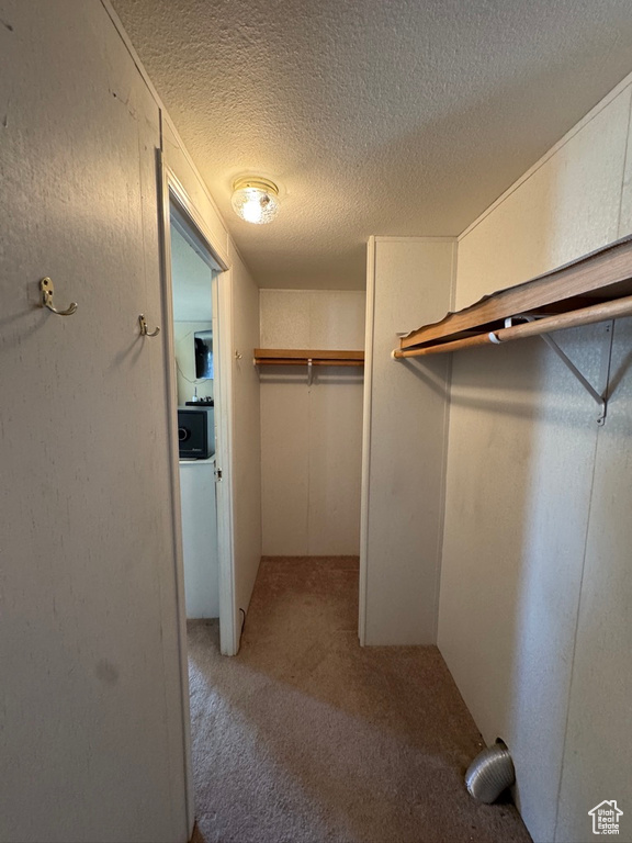 Walk in closet featuring carpet flooring