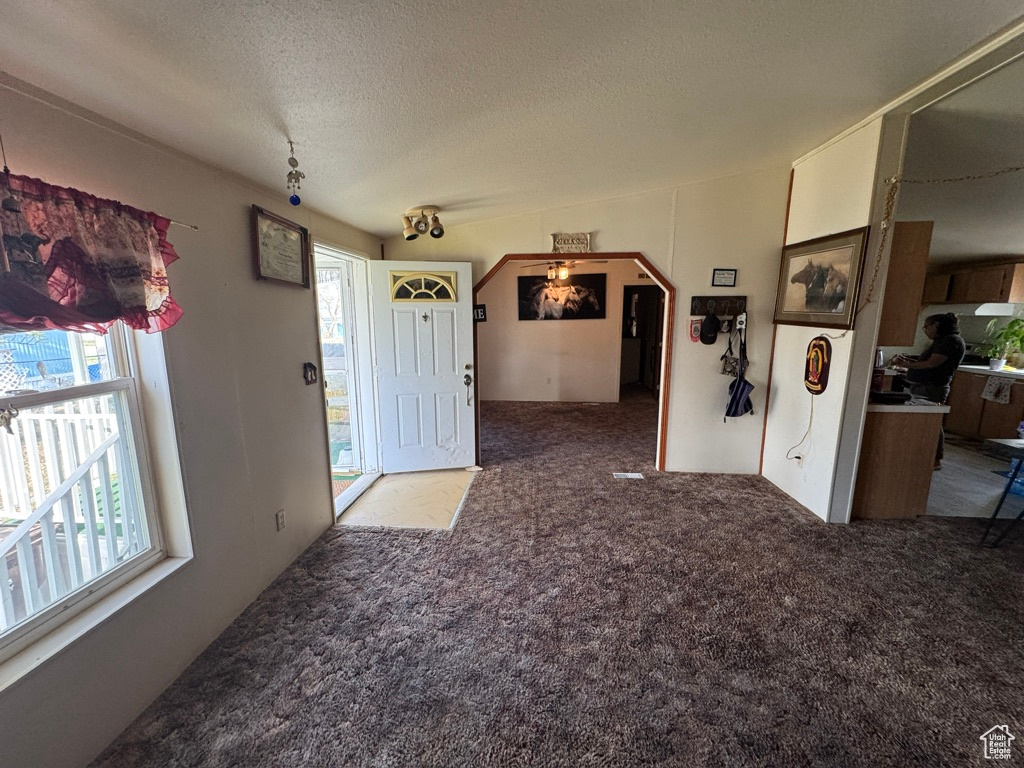 Foyer entrance featuring carpet floors and a textured ceiling