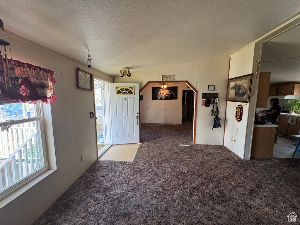 Foyer entrance with carpet floors, healthy amount of natural light, and a textured ceiling