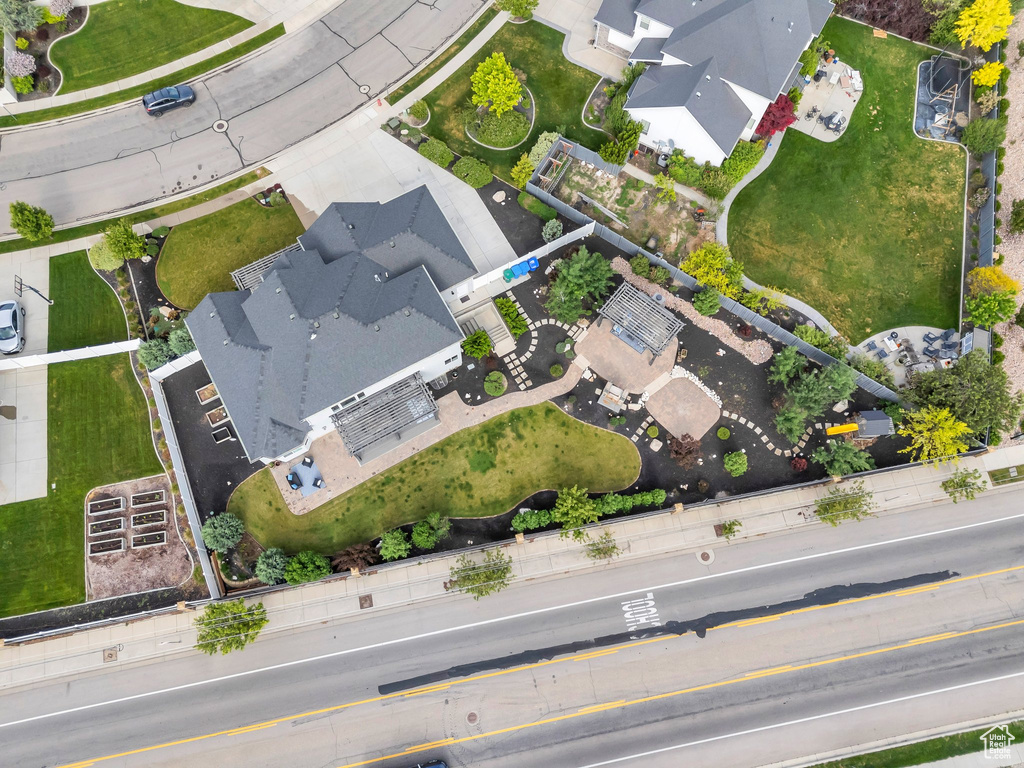 Bird\'s eye view