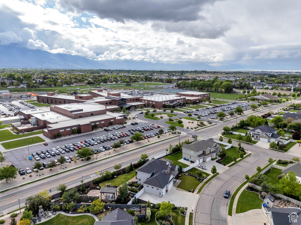 Bird\'s eye view