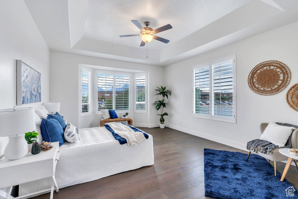 Bedroom with multiple windows, a raised ceiling, dark wood finished floors, and baseboards