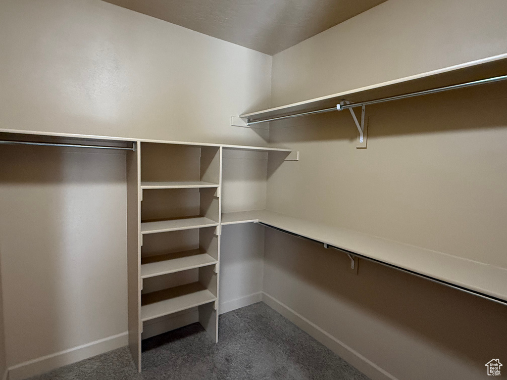 Spacious closet featuring carpet