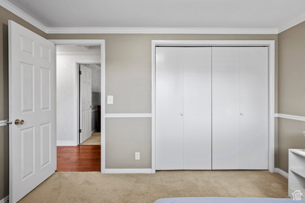 Unfurnished bedroom with carpet floors, crown molding, a closet, and baseboards