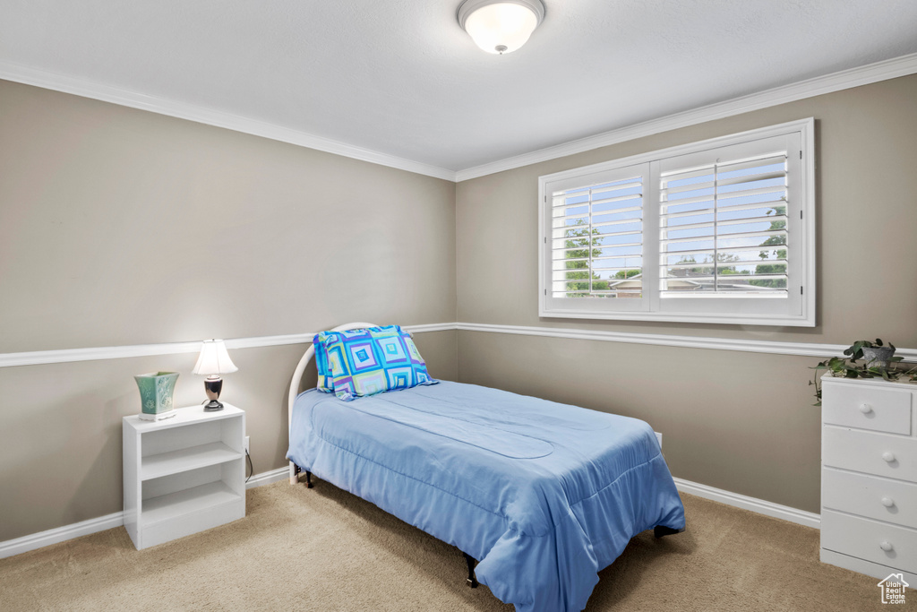 Bedroom with carpet, crown molding, and baseboards