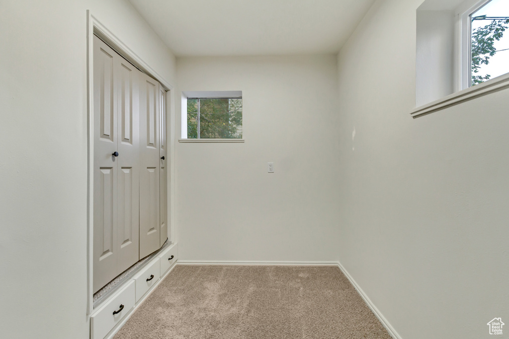 Mudroom featuring plenty of natural light, light colored carpet, and baseboards