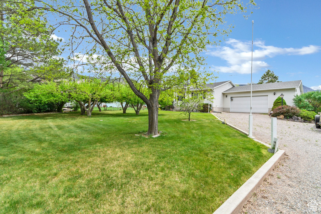 View of green lawn with an attached garage and driveway