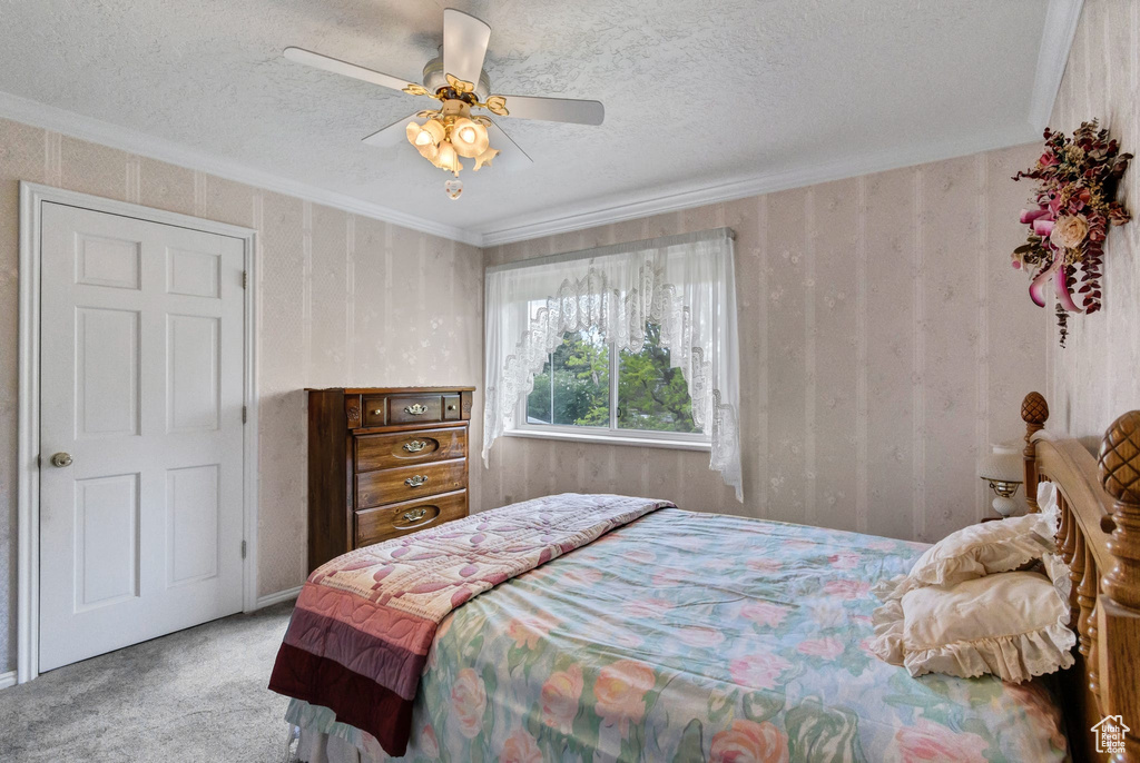 Bedroom with carpet flooring, a textured ceiling, crown molding, and a ceiling fan