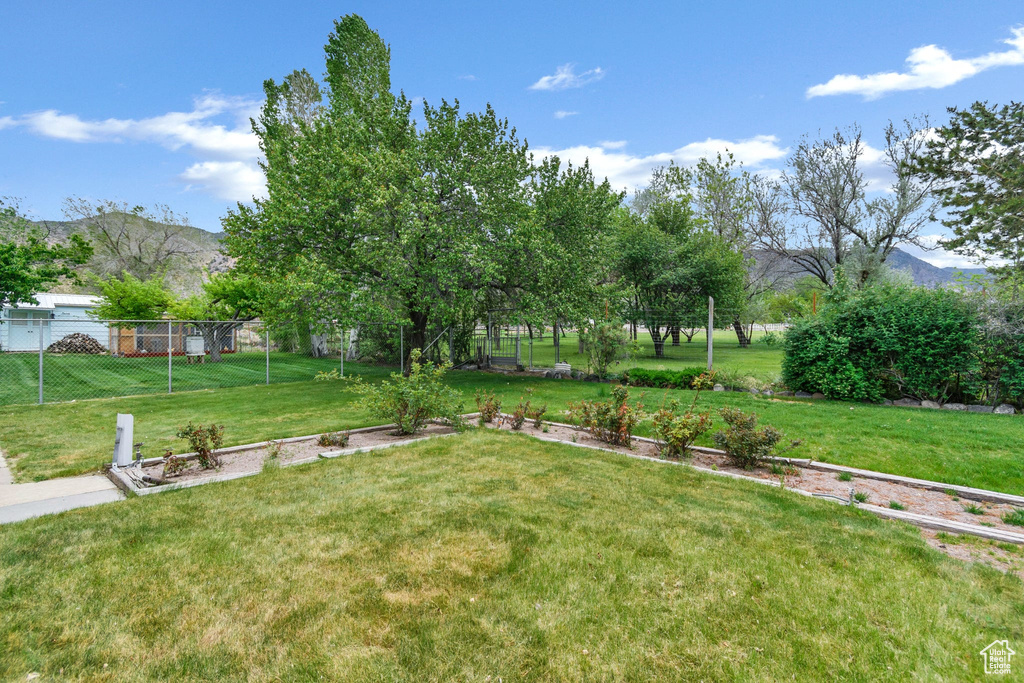 View of yard with a mountain view