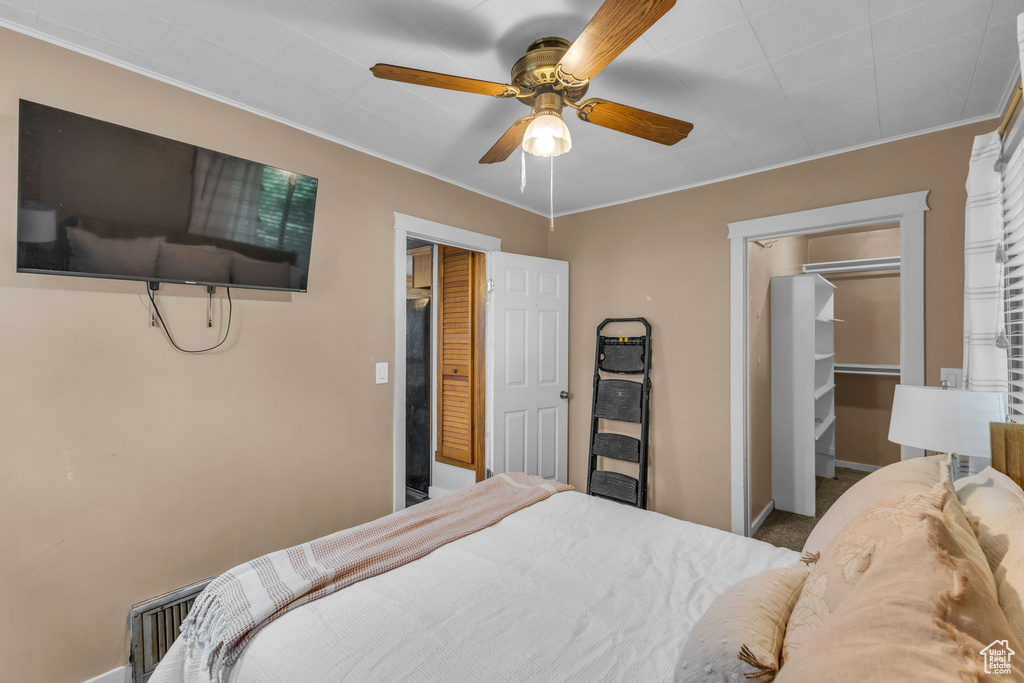 Bedroom with a spacious closet, a closet, ceiling fan, ornamental molding, and baseboards