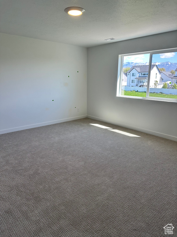 Spare room featuring baseboards, carpet flooring, and a textured ceiling