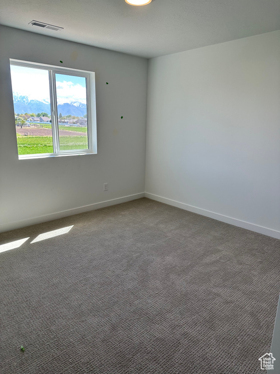 Carpeted spare room with baseboards