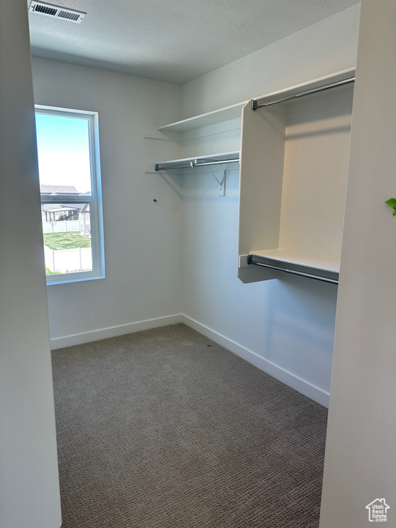 Walk in closet featuring carpet