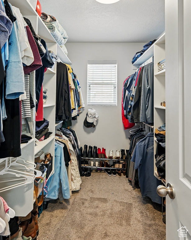 Walk in closet featuring carpet