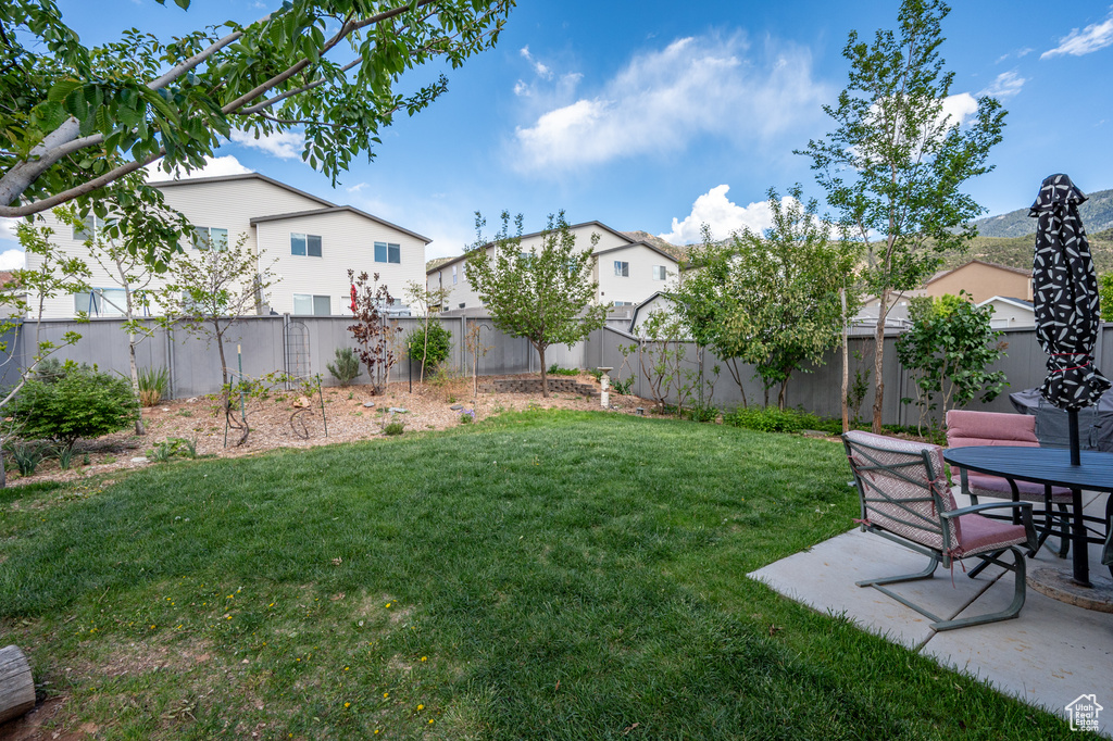 View of yard with a patio area