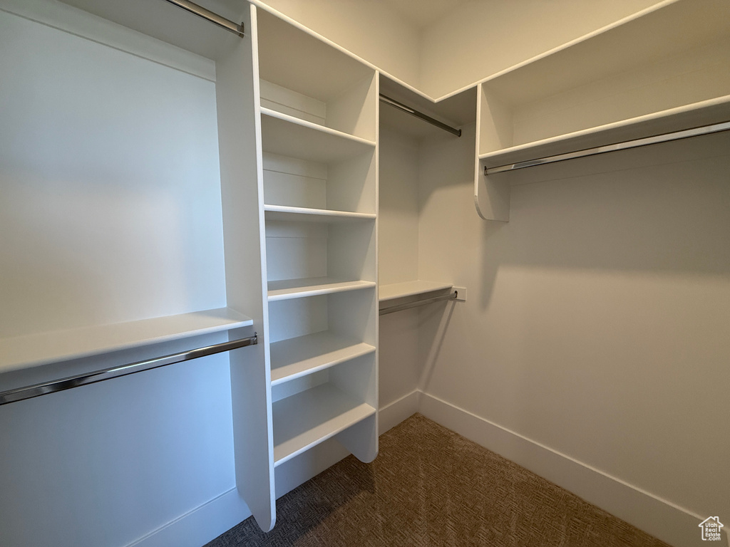 Walk in closet featuring dark carpet
