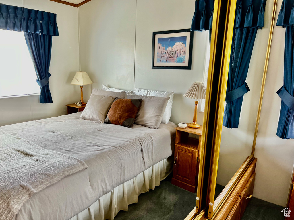 Bedroom featuring carpet floors