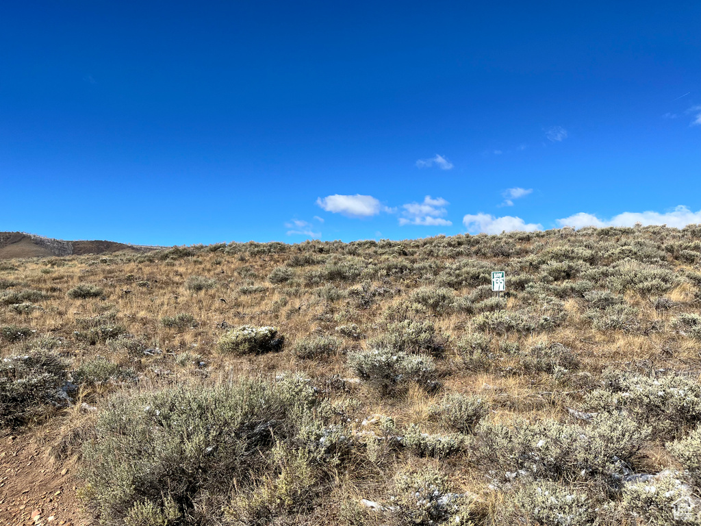 View of mountain background