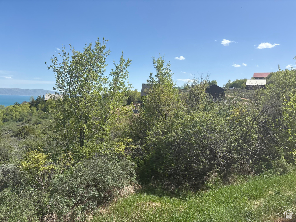 View of nature