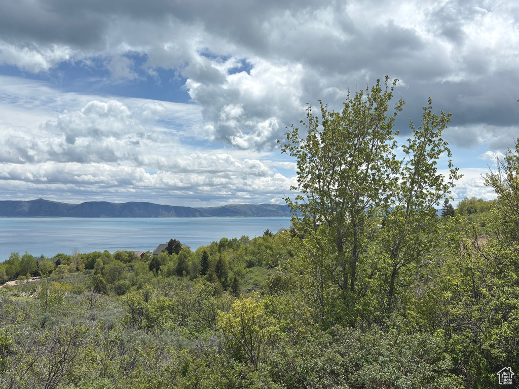 Water view featuring mountains