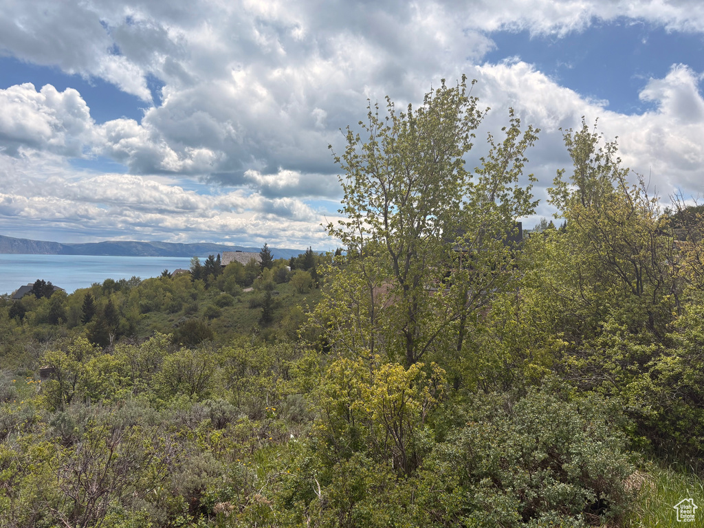 View of undeveloped land with a large body of water