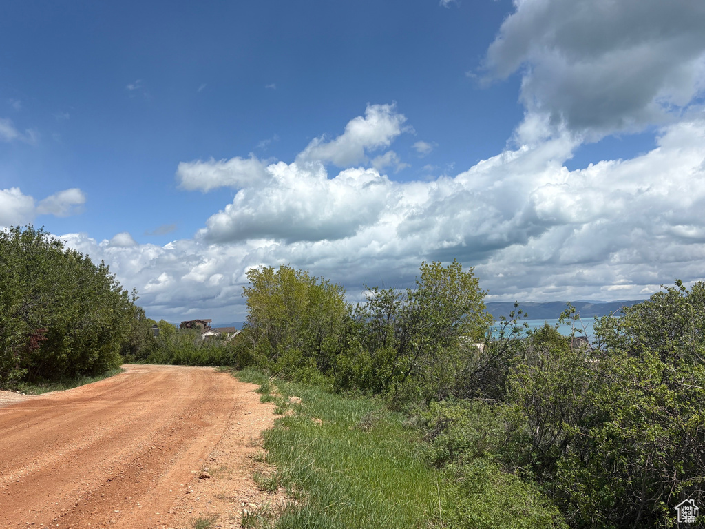 View of dirt / gravel road