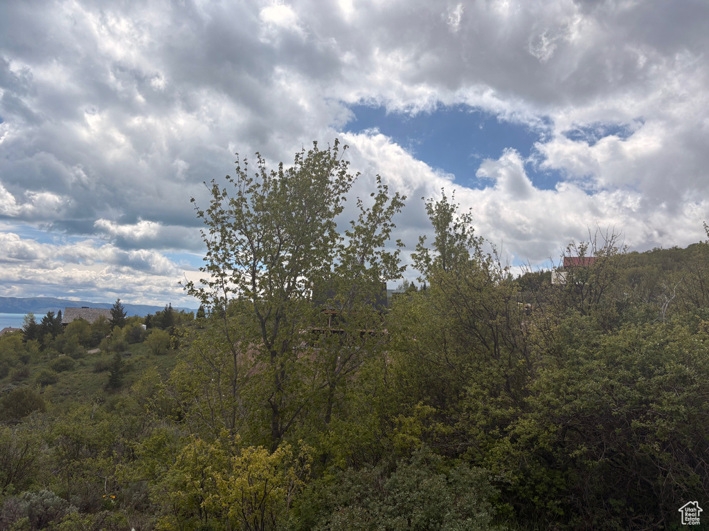 View of woods