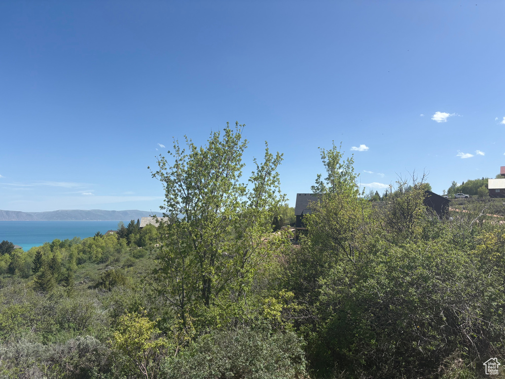 View of nature