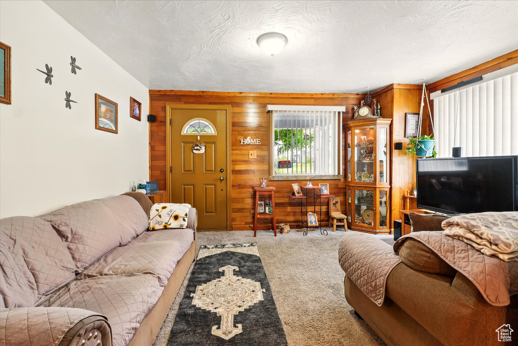 Carpeted living room with wooden walls