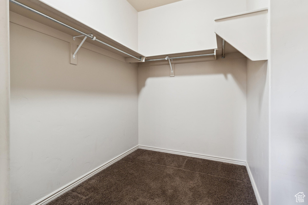 Walk in closet with carpet floors