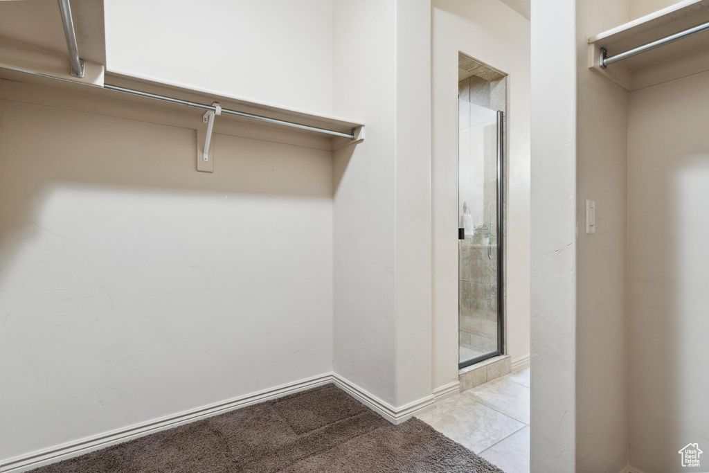 Spacious closet featuring carpet flooring