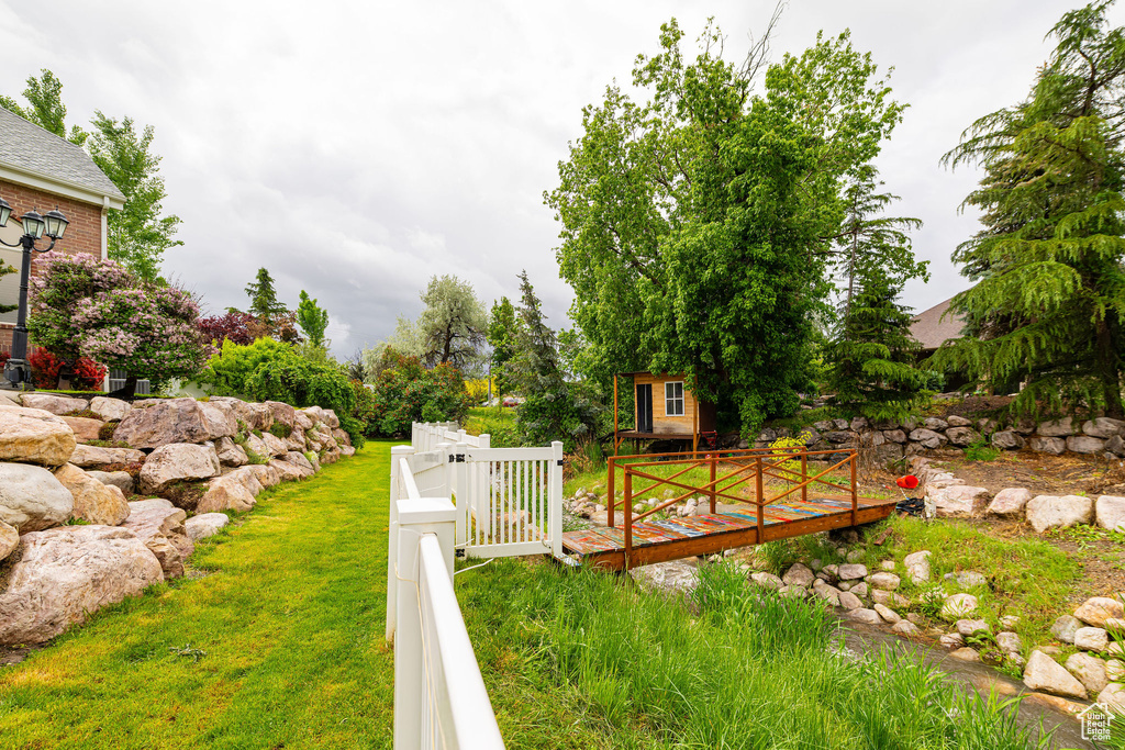 View of yard