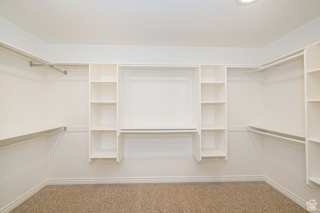 Walk in closet featuring carpet flooring