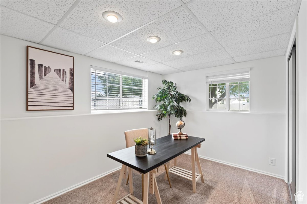 Office featuring a drop ceiling, healthy amount of natural light, carpet, and baseboards