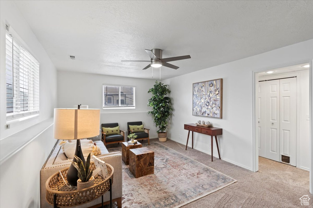 Living area with a ceiling fan, carpet, baseboards, and a textured ceiling