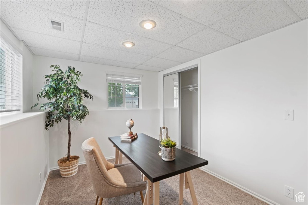 Office space featuring carpet floors, a paneled ceiling, and baseboards