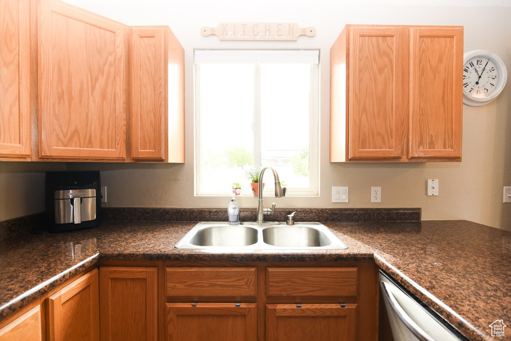 Kitchen with a sink, stainless steel dishwasher, and dark countertops