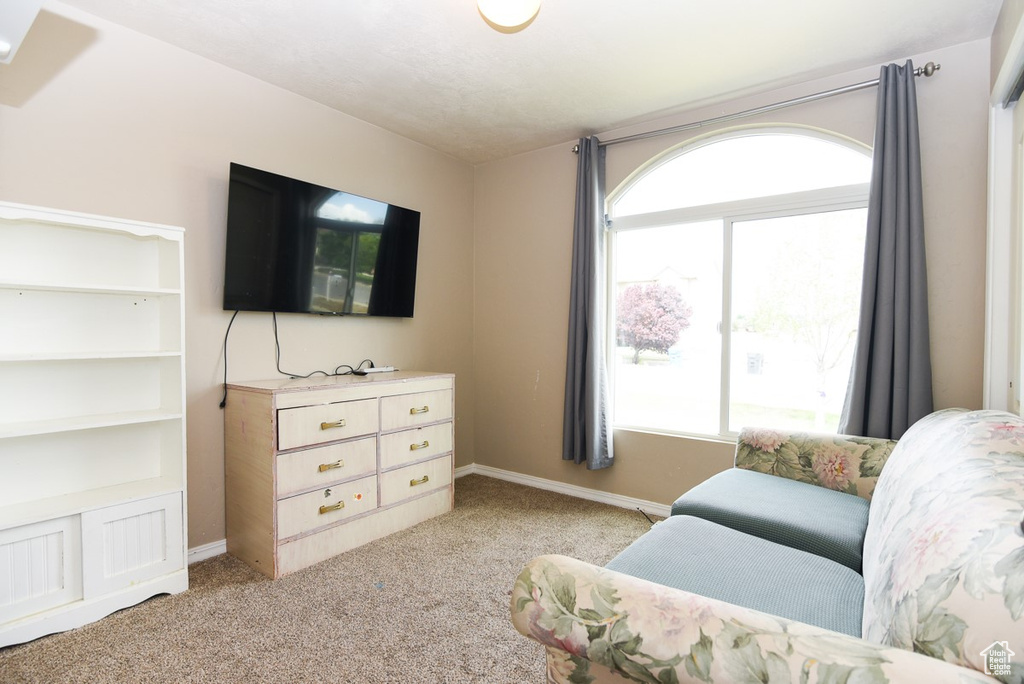 Bedroom with light colored carpet and baseboards