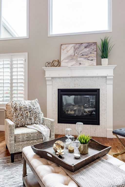 Living area featuring wood finished floors, a high end fireplace, and healthy amount of natural light